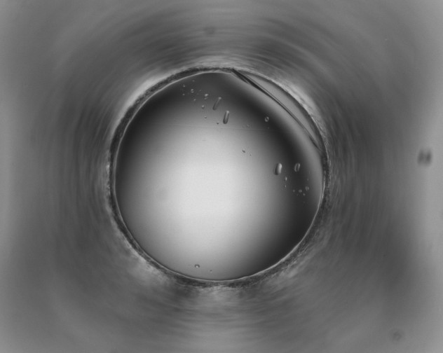 X0000091070992200708061258