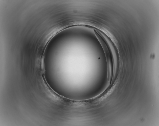 X0000091070993200708061258