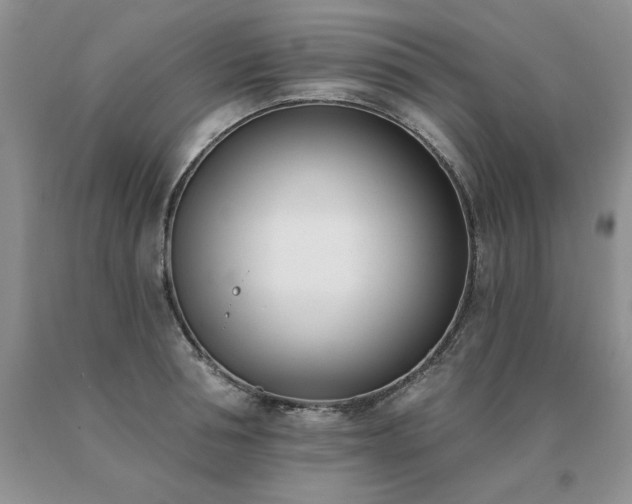 X0000091070994200708061258