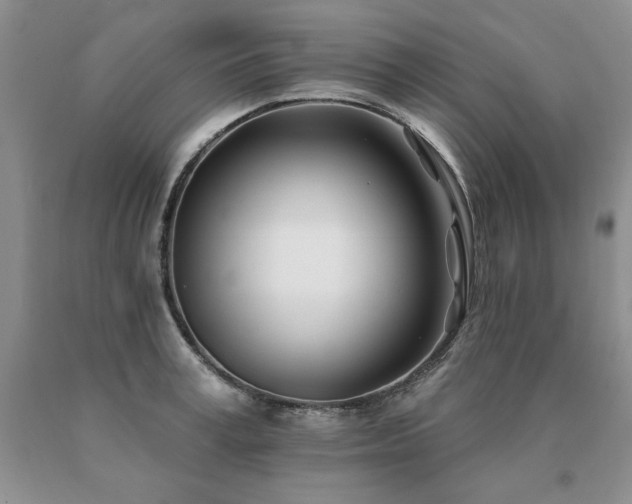 X0000091070995200708061258