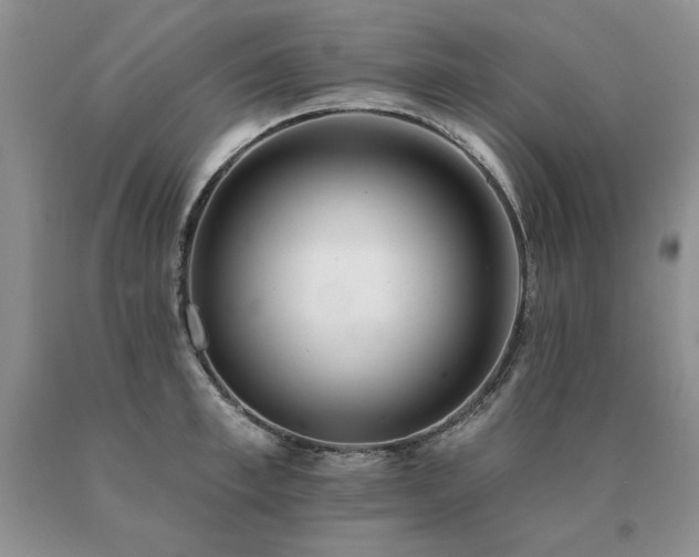 X0000091070997200708061258