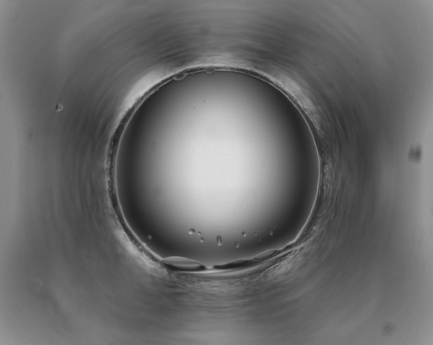 X0000091070998200708061258