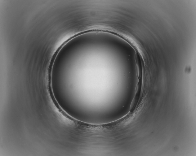 X0000091070999200708061258