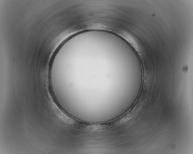 X0000091071000200708061258