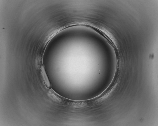X0000091071001200708061258