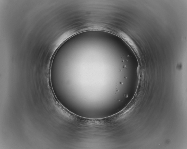 X0000091071002200708061258