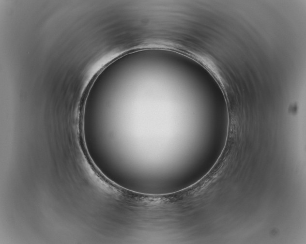 X0000091071003200708061258