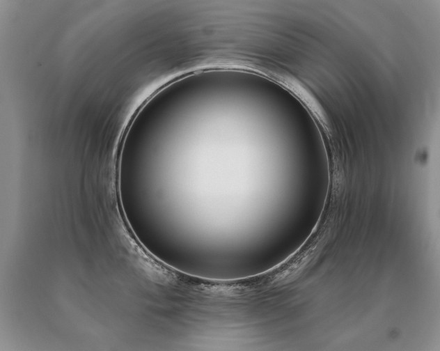 X0000091071004200708061258