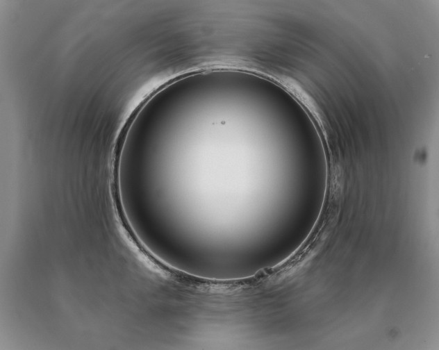 X0000091071005200708061258