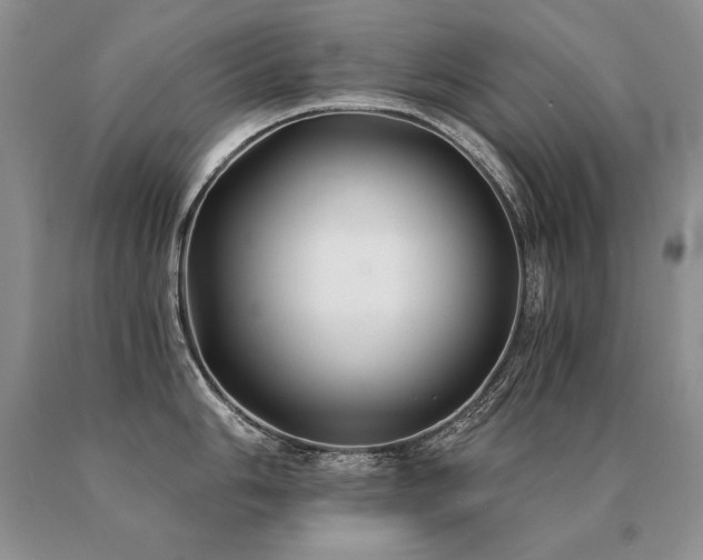 X0000091071006200708061258