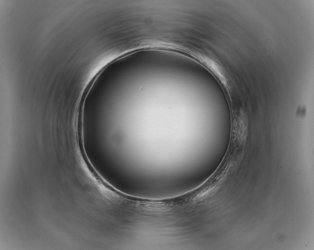 X0000091071007200708061258
