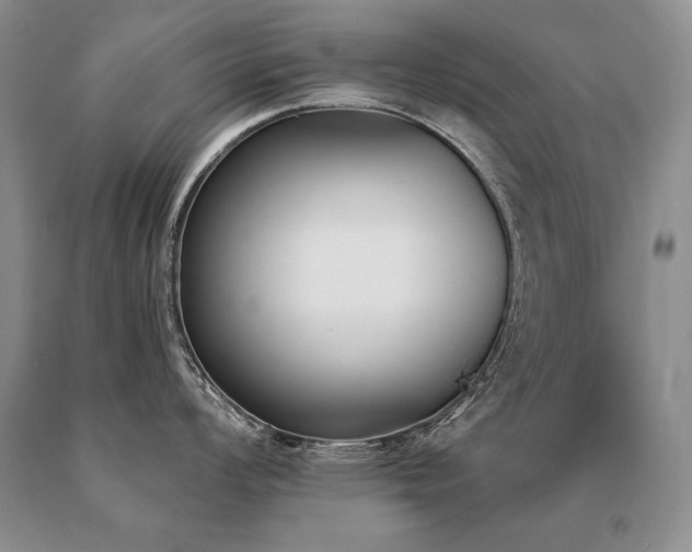 X0000091071008200708061258