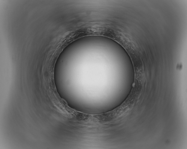 X0000091071009200708061257