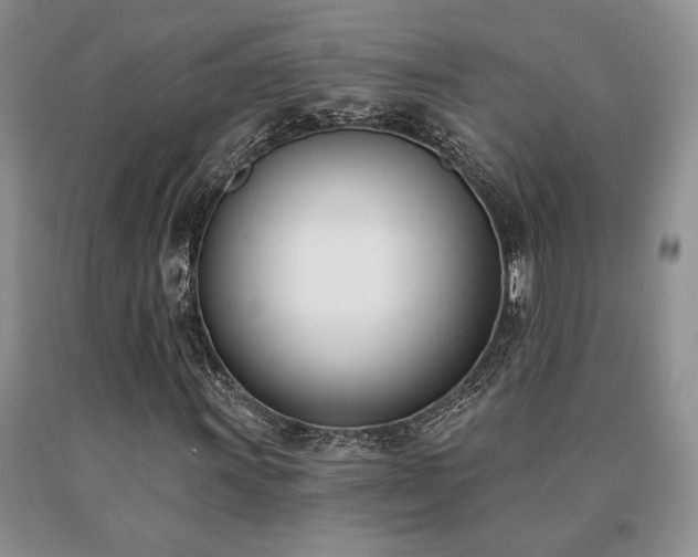X0000091071011200708061257