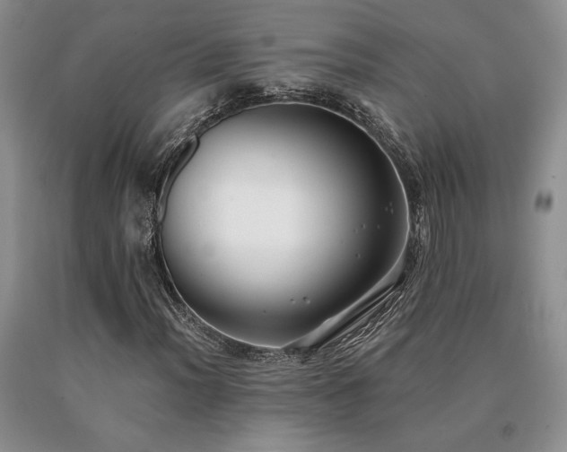 X0000091071012200708061257