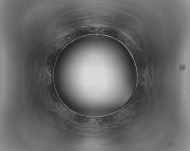 X0000091071013200708061257