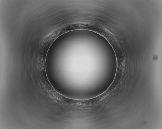 X0000091071014200708061257