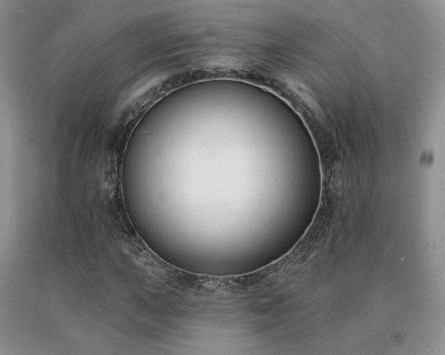 X0000091071015200708061257