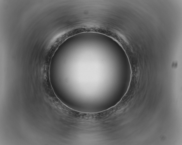 X0000091071016200708061257