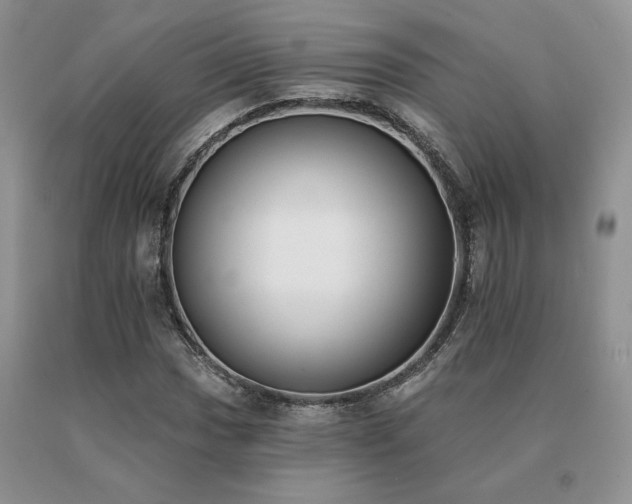 X0000091071017200708061257
