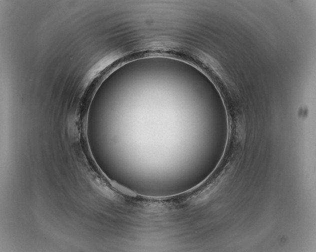 X0000091071018200708061257