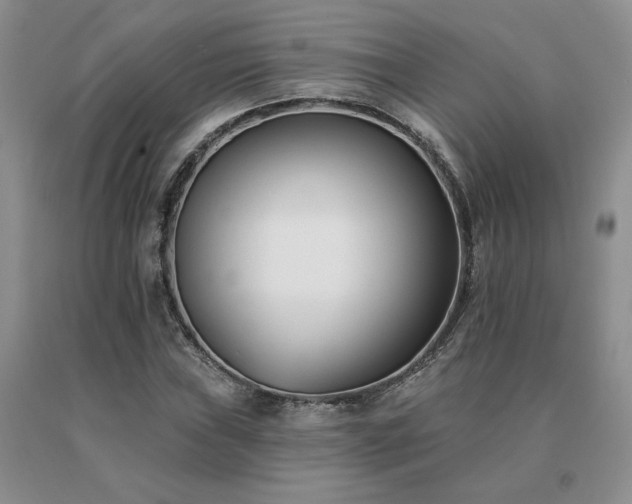 X0000091071019200708061257