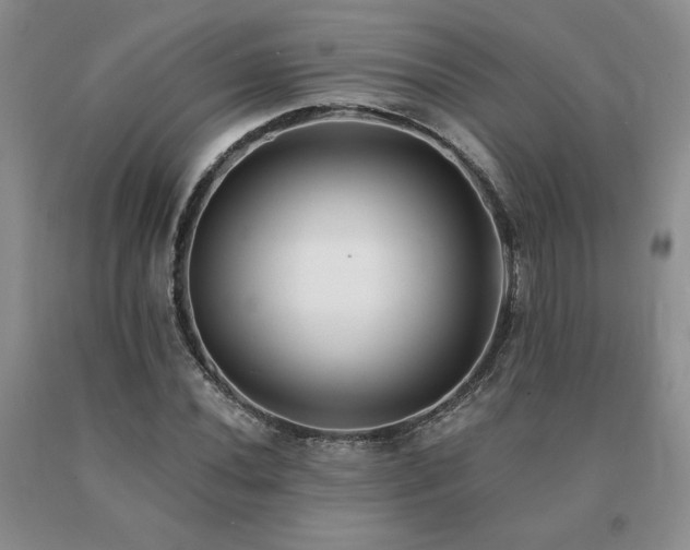 X0000091071020200708061257