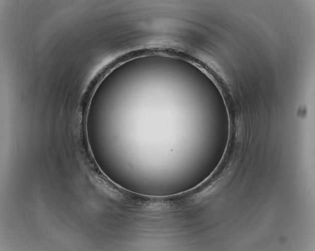 X0000091071021200708061257