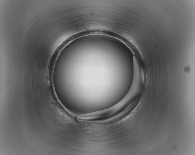 X0000091071022200708061258