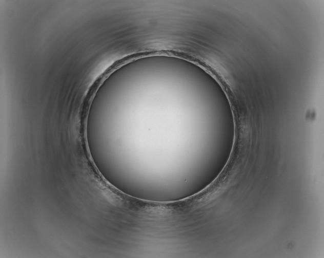 X0000091071023200708061258