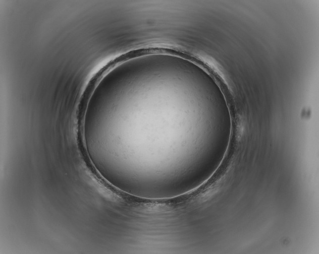 X0000091071024200708061258