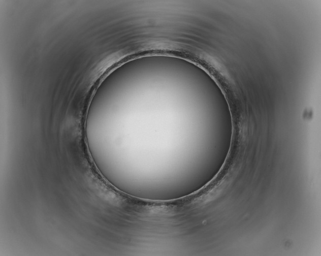 X0000091071025200708061258