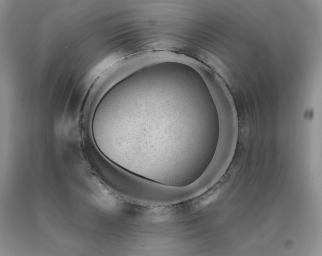 X0000091071026200708061258