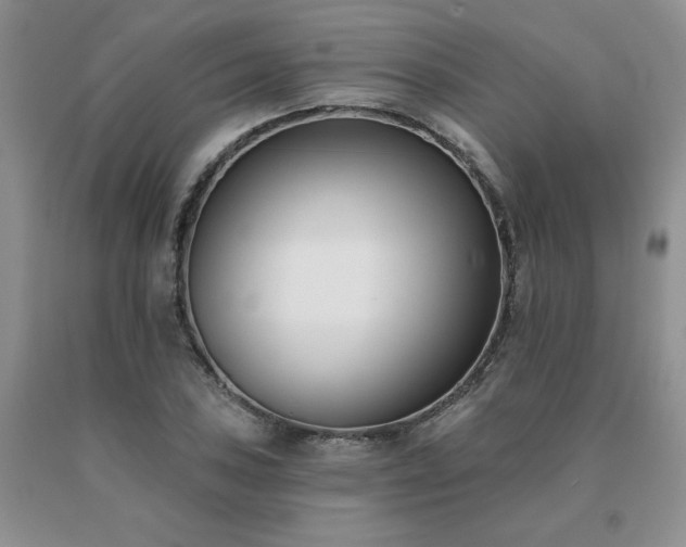 X0000091071027200708061258