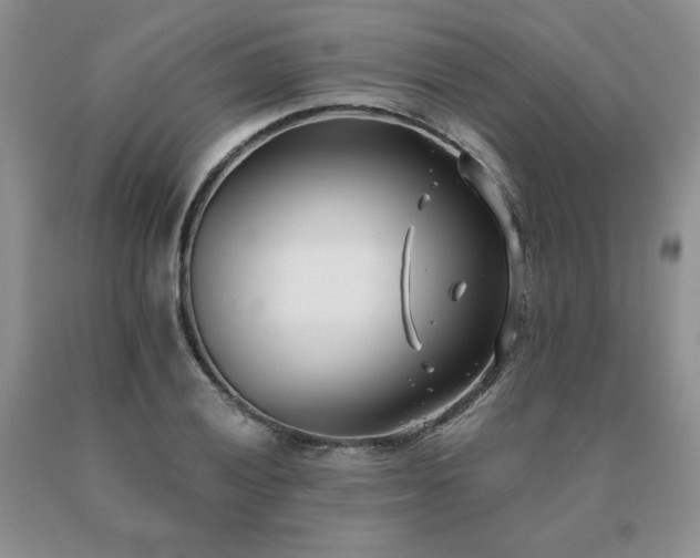 X0000091071028200708061258