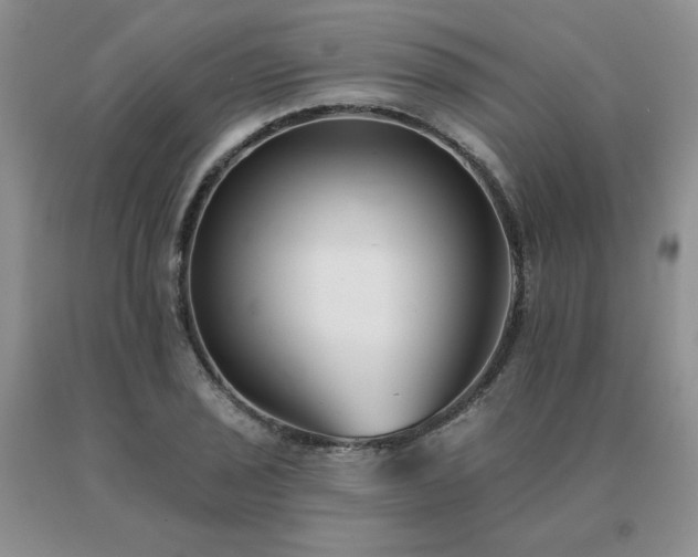 X0000091071029200708061258