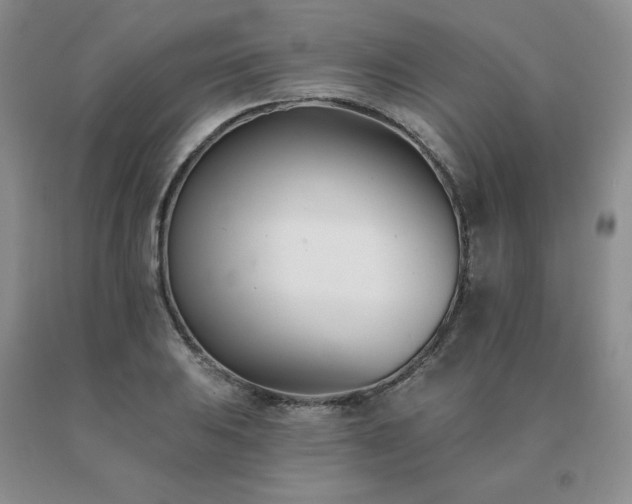 X0000091071031200708061258