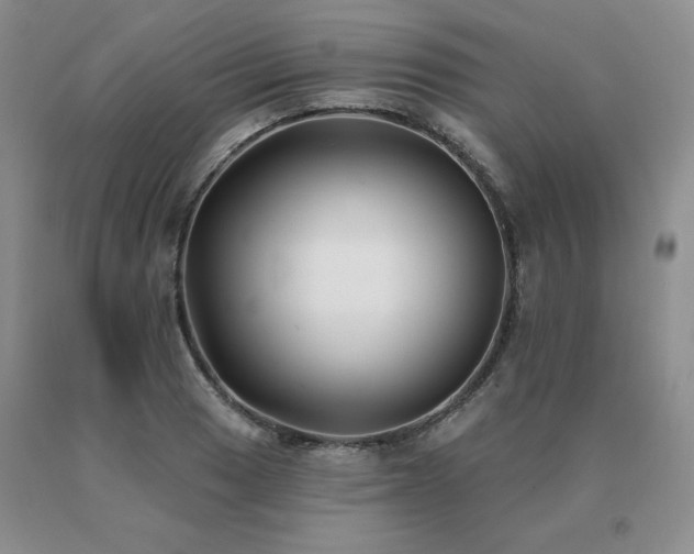 X0000091071033200708061258