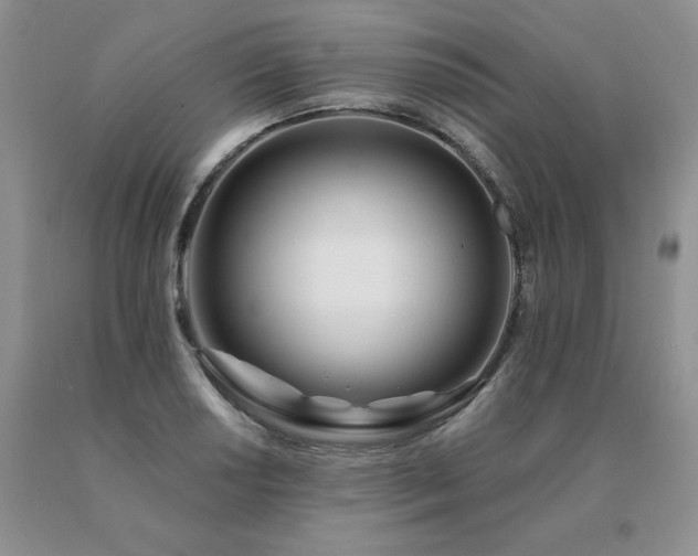 X0000091071034200708061258