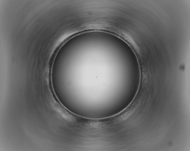 X0000091071035200708061258