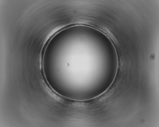 X0000091071036200708061258