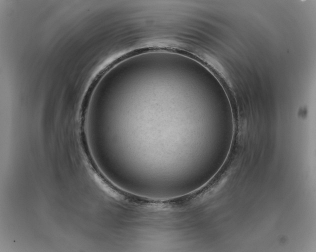X0000091071037200708061258