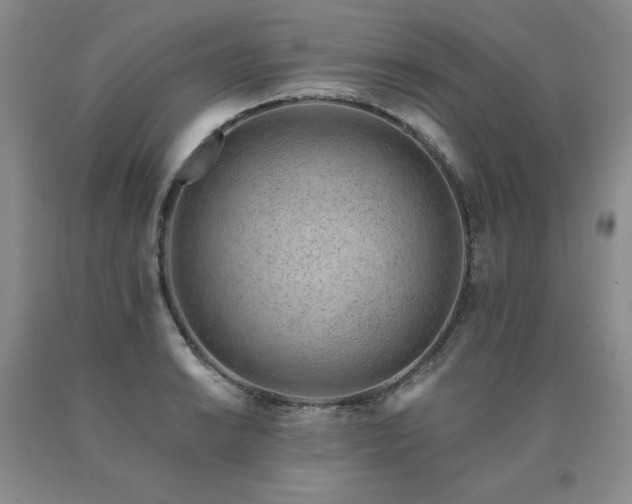 X0000091071038200708061258
