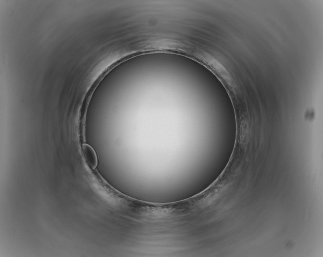 X0000091071039200708061258