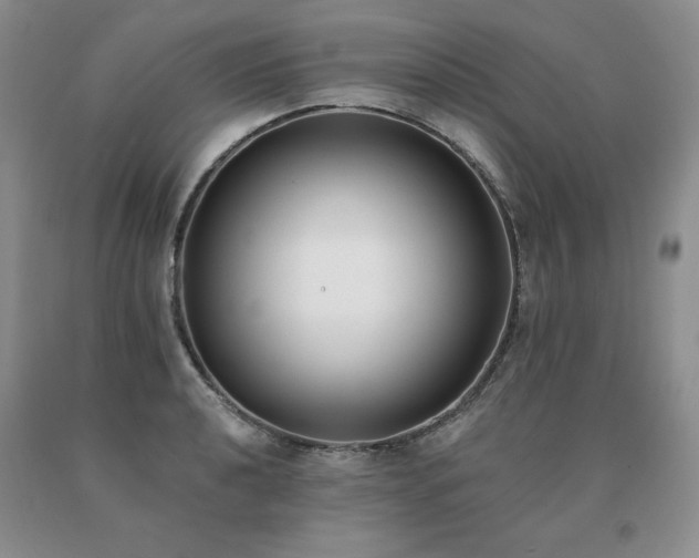 X0000091071040200708061258