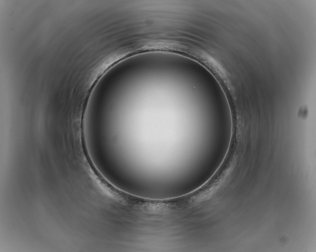 X0000091071041200708061258
