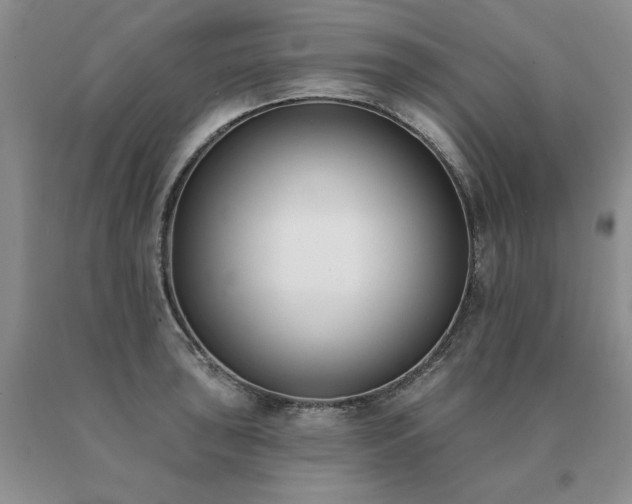 X0000091071043200708061258