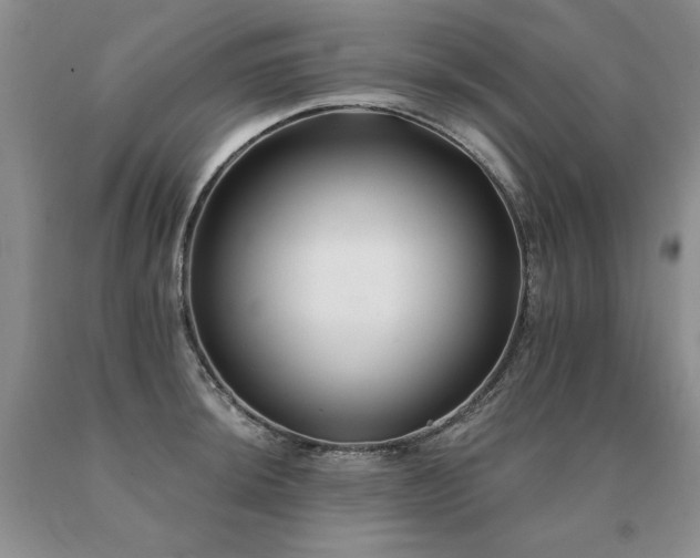 X0000091071044200708061258