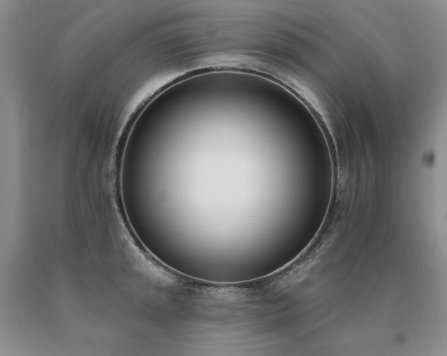 X0000091071045200708061258