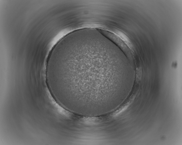 X0000091071046200708061258